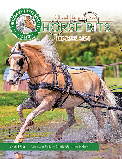 Sum26coverWEB Haflinger horse pulling a marathon carriage through the water